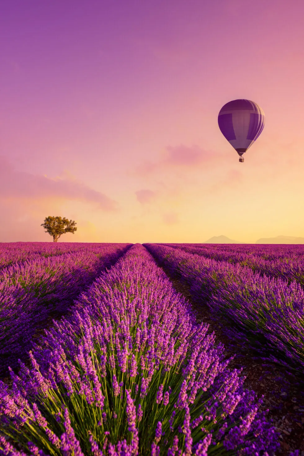 assurance vie &mdash; FR news