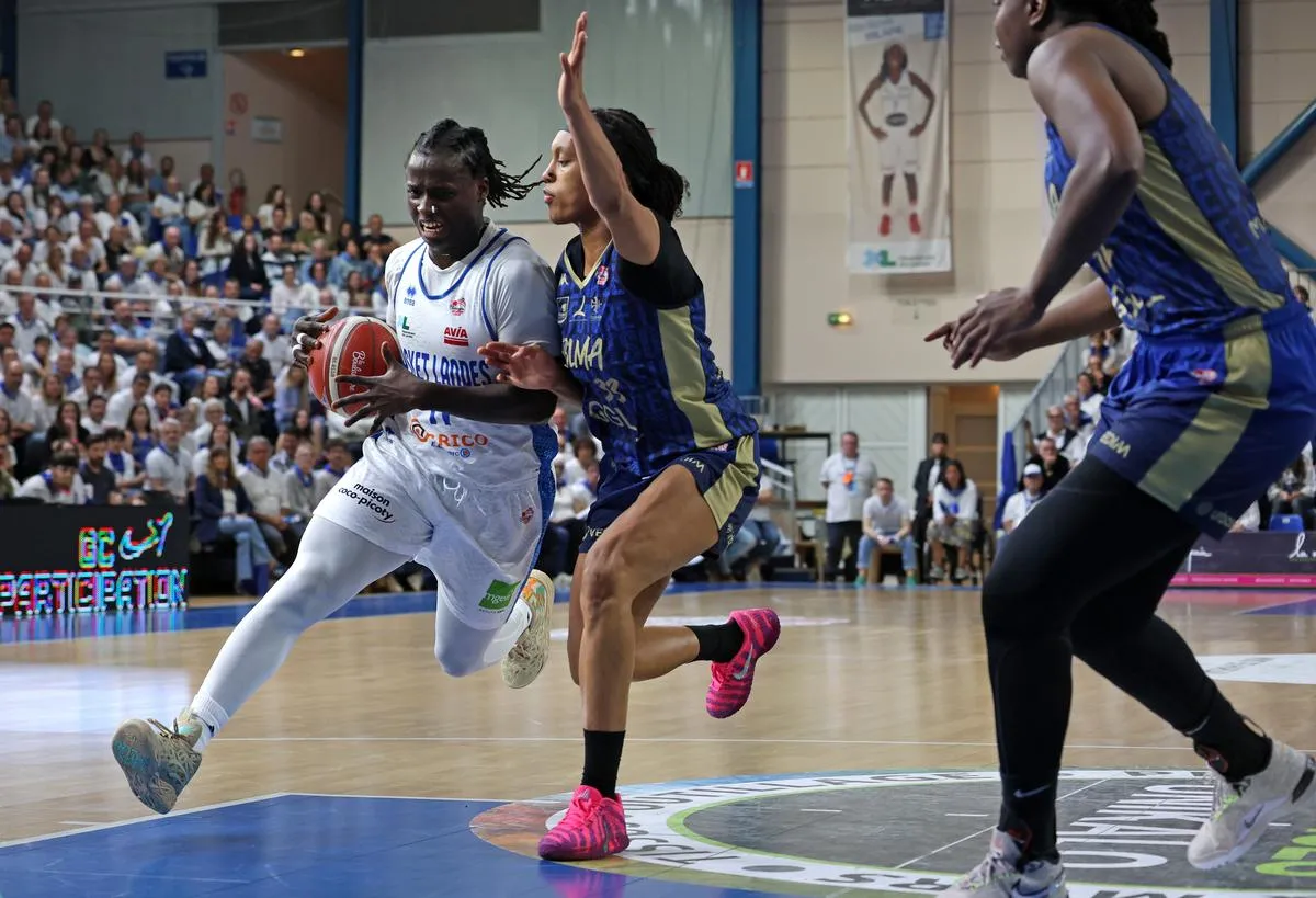 basket landes &mdash; FR news