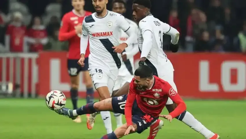 lille le havre &mdash; FR news