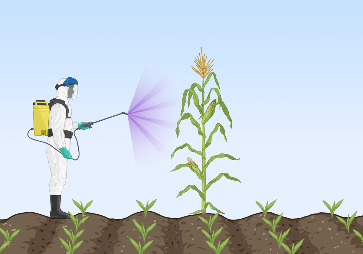 pesticide &mdash; FR news