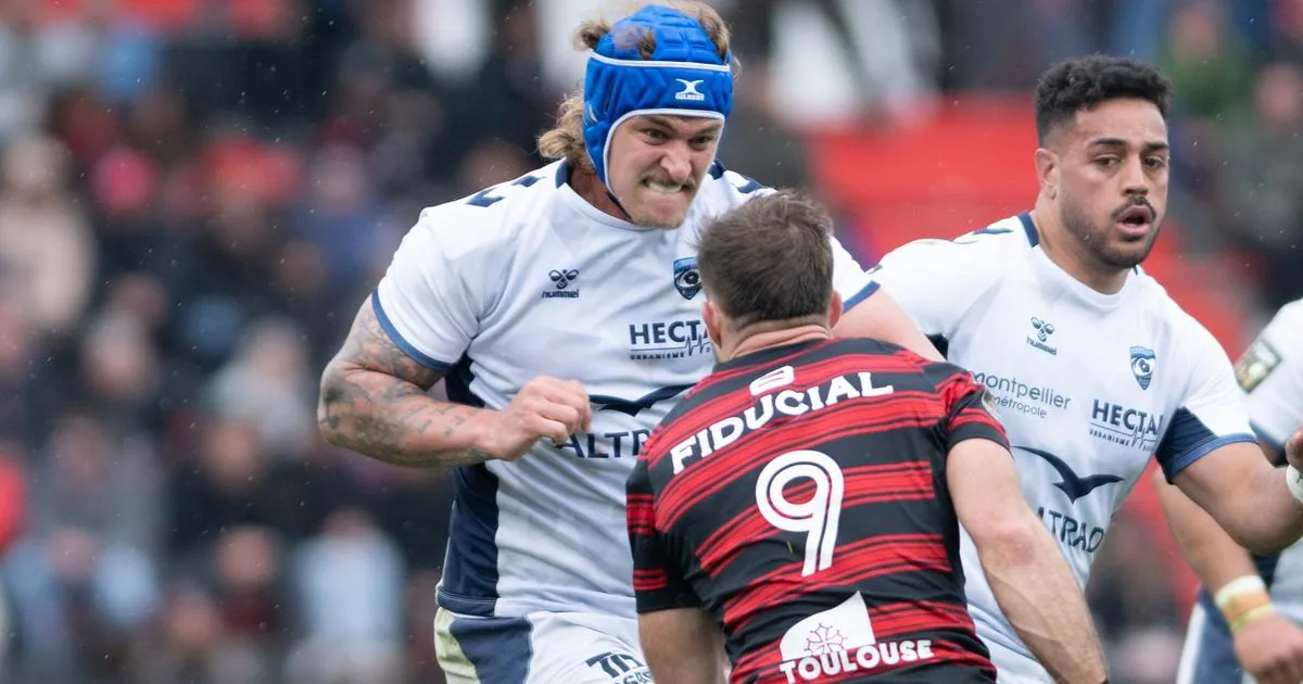 &Agrave; quelle heure et sur quelle cha&icirc;ne voir la finale opposant Toulouse &agrave; Montpellier ?
