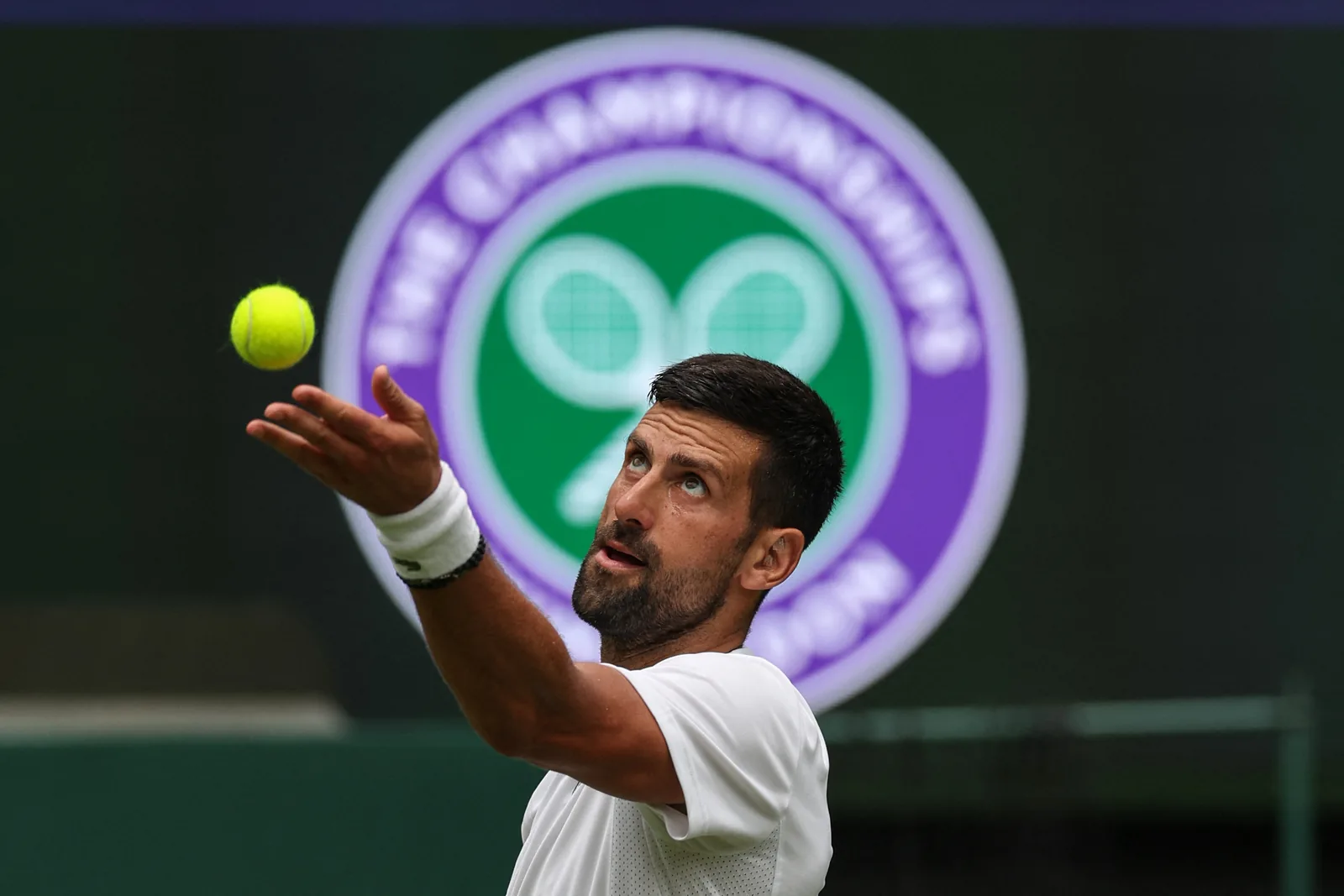 Wimbledon : comment suivre l&rsquo;&eacute;dition 2026 ?