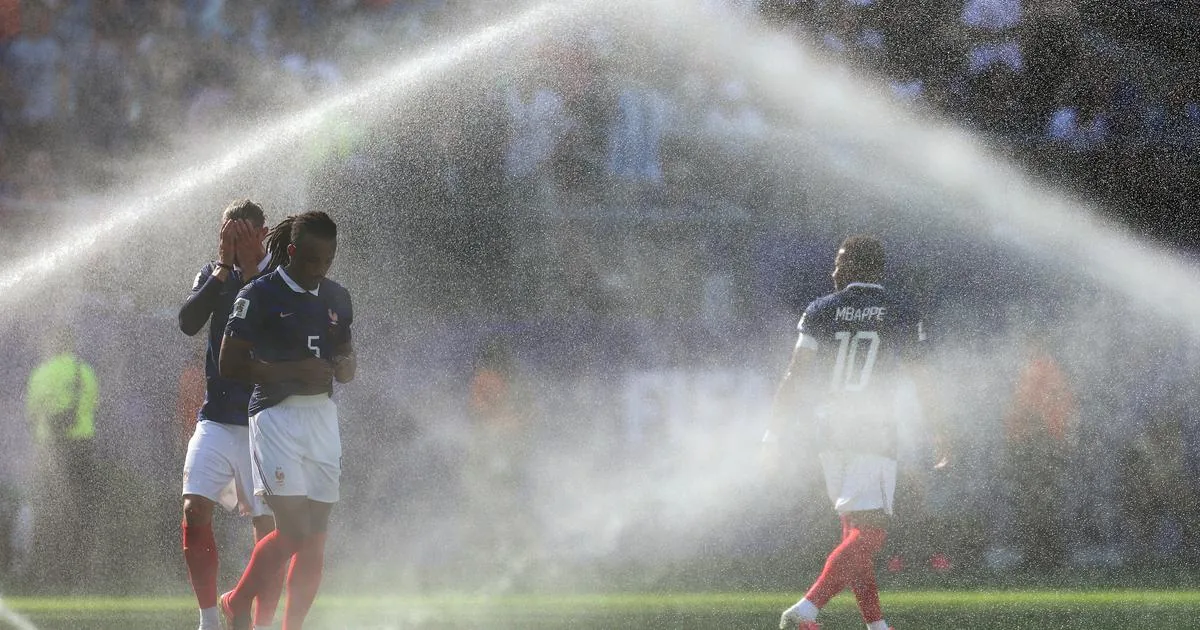 &laquo; La boucherie, c&rsquo;est de l&rsquo;art &raquo;&hellip; Les Bleus face aux d&eacute;coupeurs paraguayens - 20 Minutes